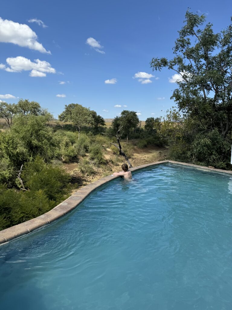 safari, south africa