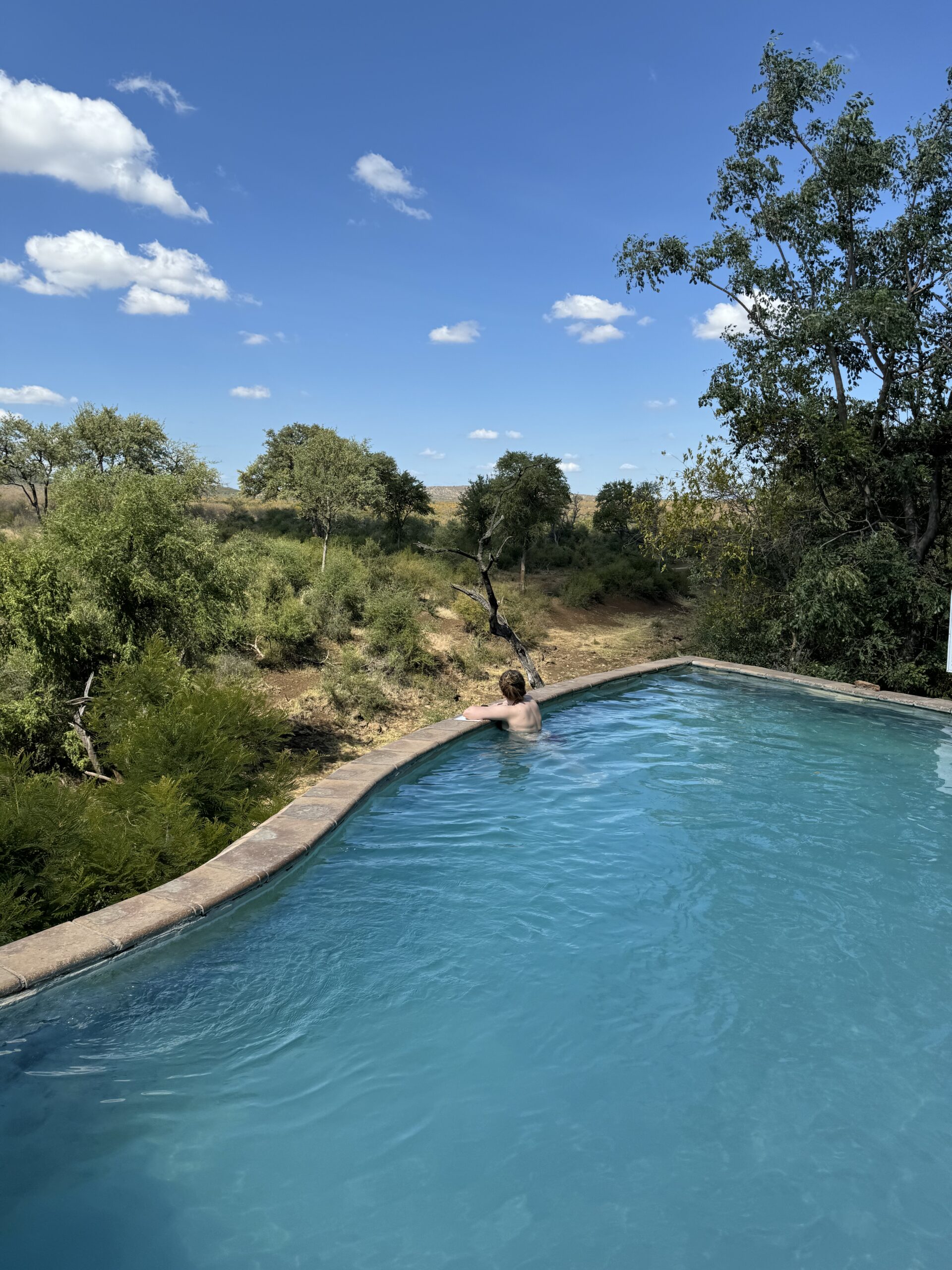 Moteris prabangiame safario viešbučio baseine (infinity pool) stebi Pietų Afrikos laukinę gamtą