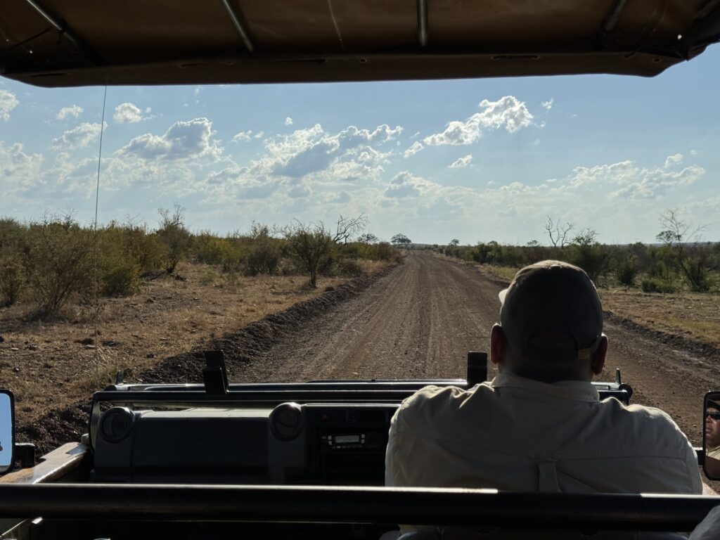 safari, south africa
