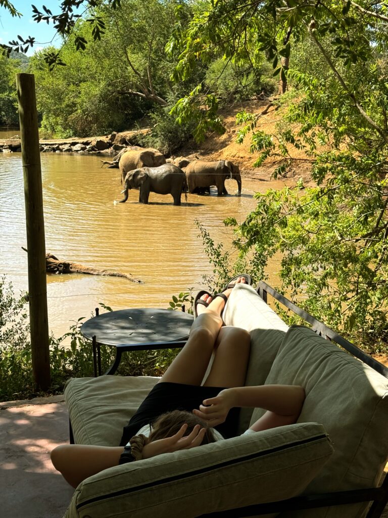 safari, south africa