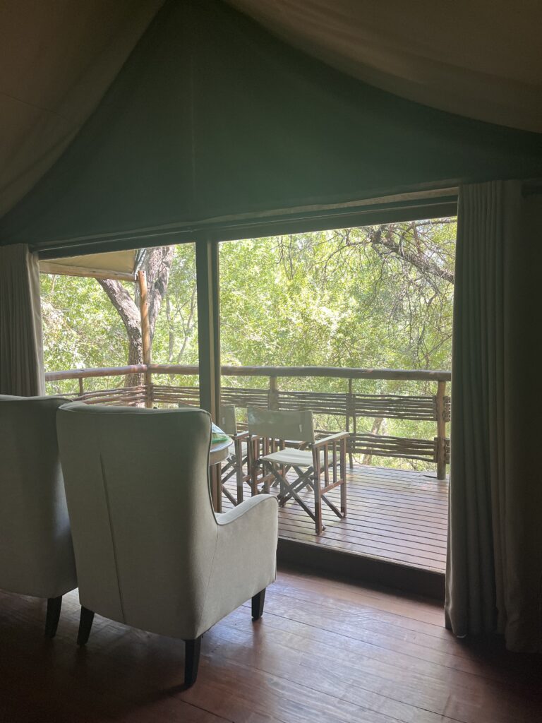 safari, south africa