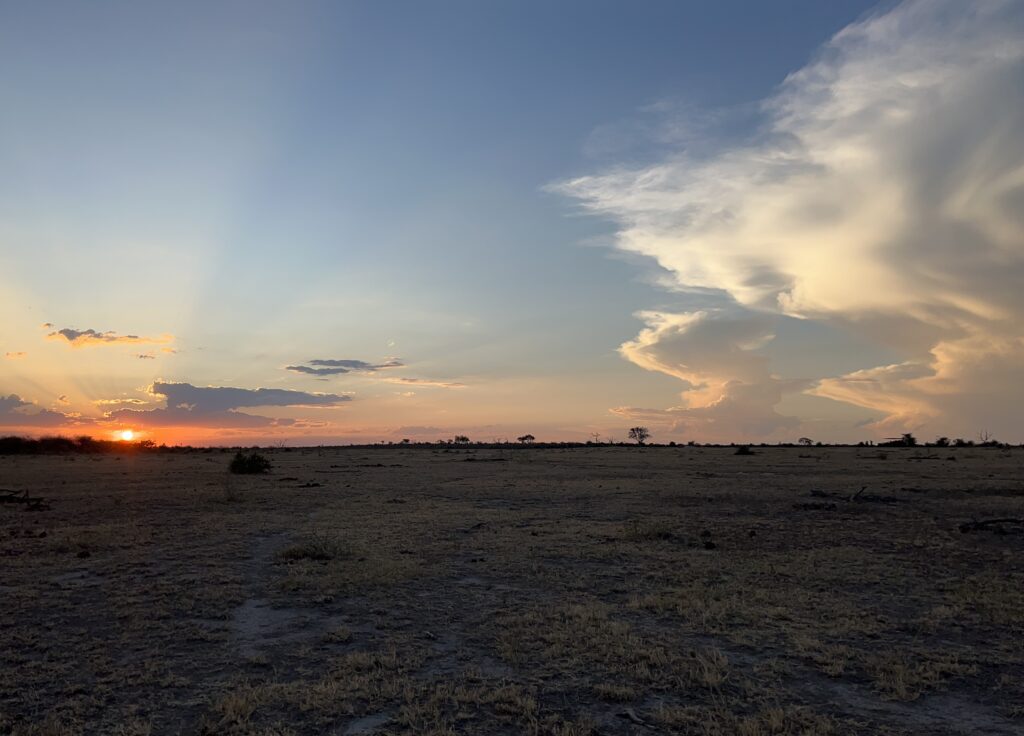 safari, south africa