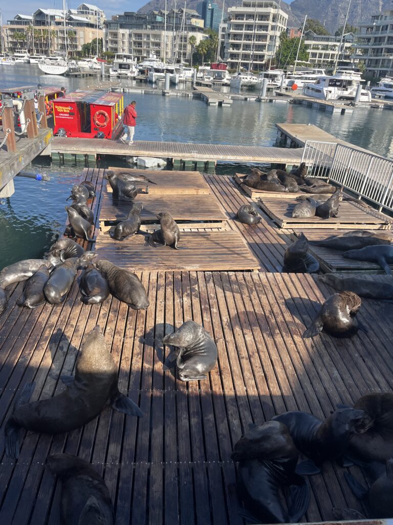 cape town, south africa