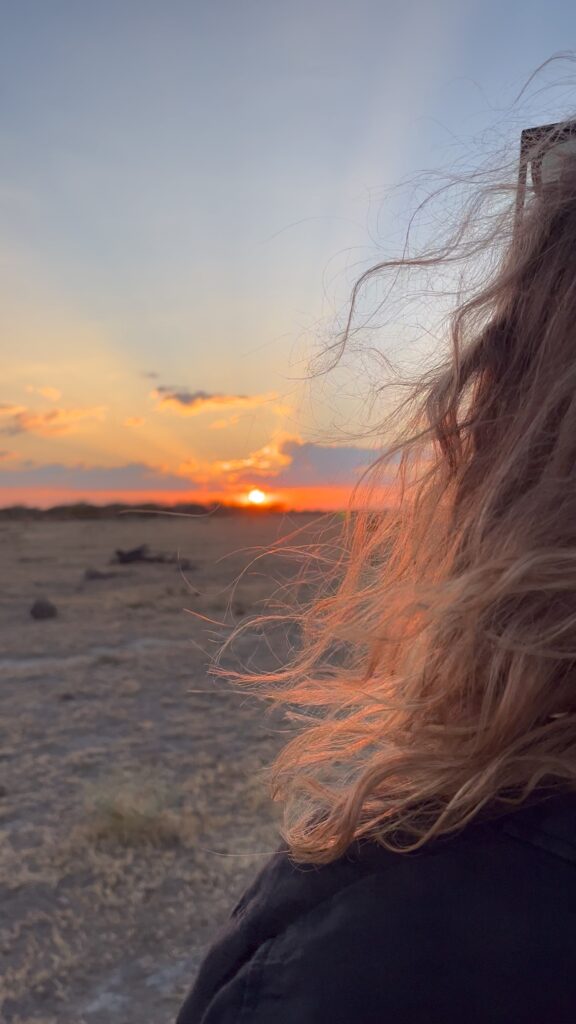 Autorius safari, south africa