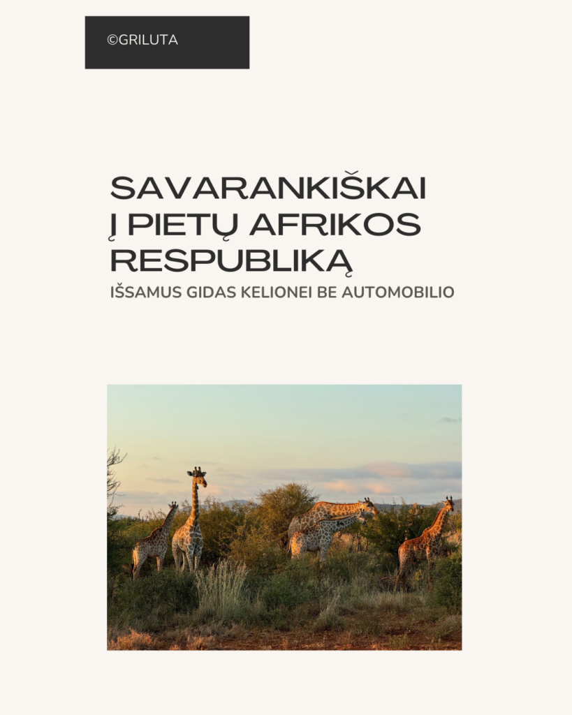 Kelionės be chaoso: Pietų Afrika – PDF gidas