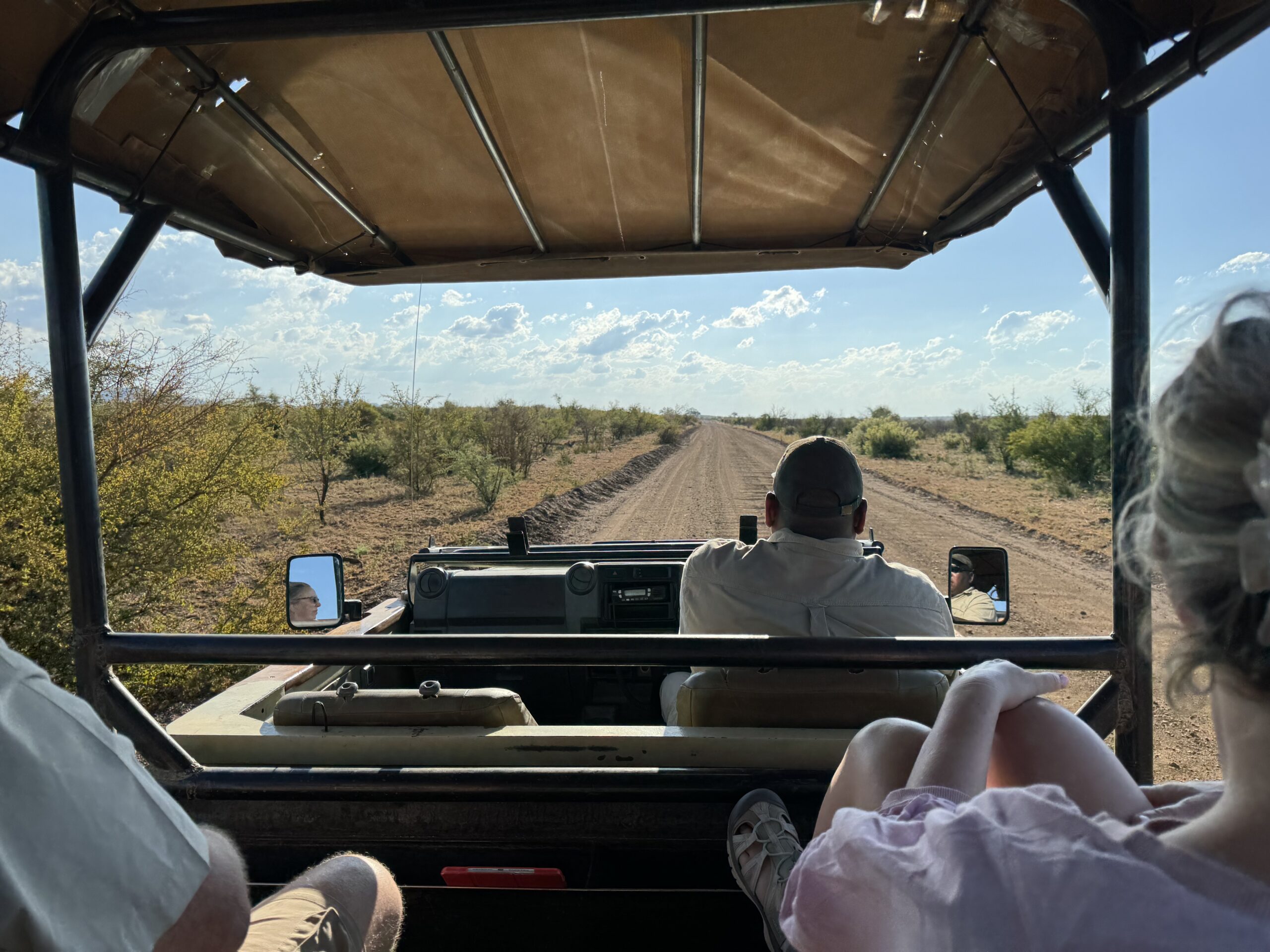 Geriausi Safari Parkai Pietų Afrikoje: Kurį Pasirinkti?