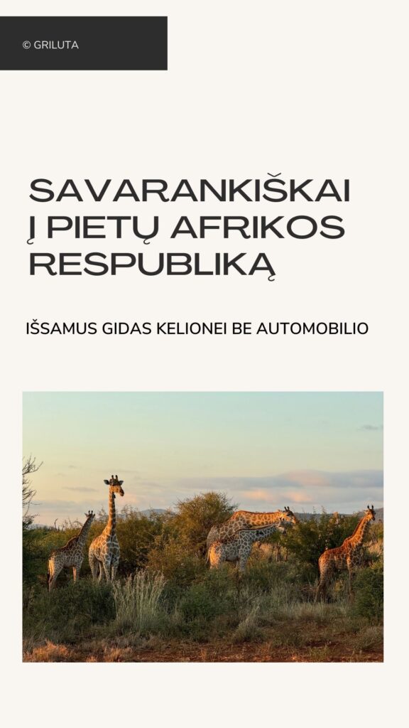 Kelionės be chaoso: Pietų Afrika – PDF gidas