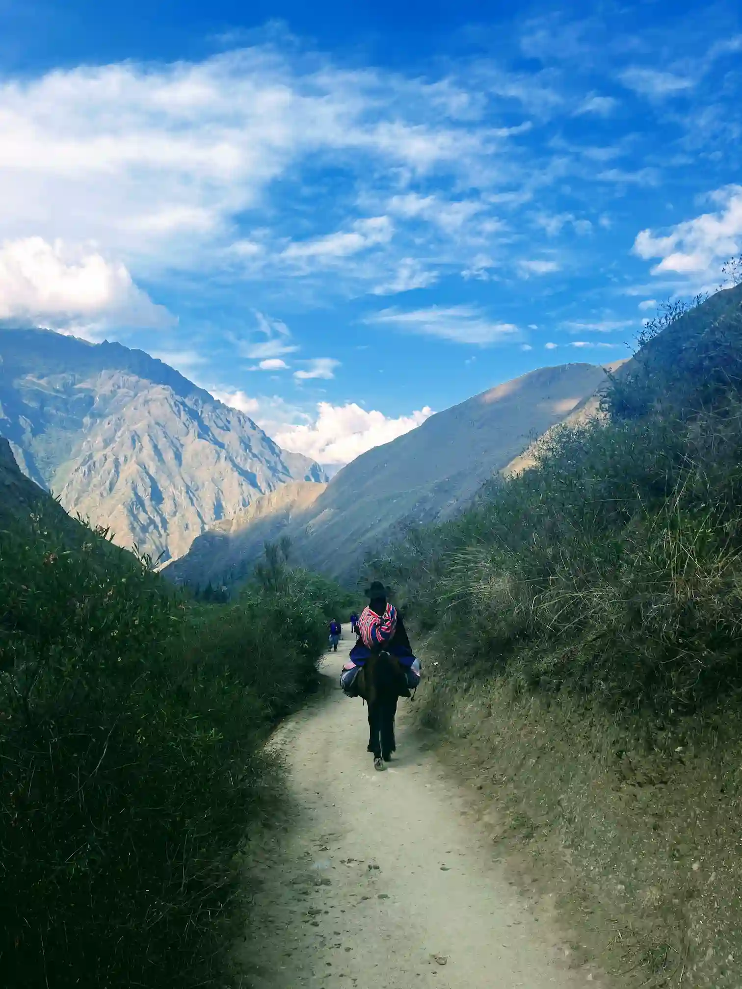 Raitelis tradiciniais rūbais joja Andų kalnų taku, Peru