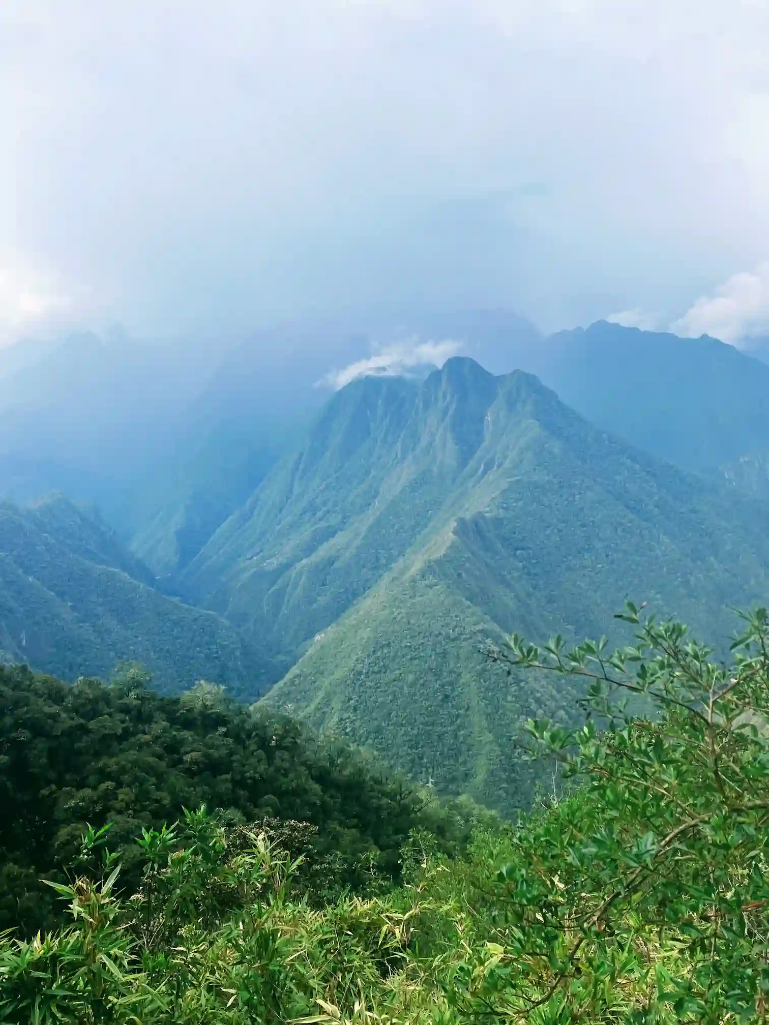 Žaliomis džiunglėmis apaugę Andų kalnai debesų apsuptyje, inkų tako apylinkės, Peru