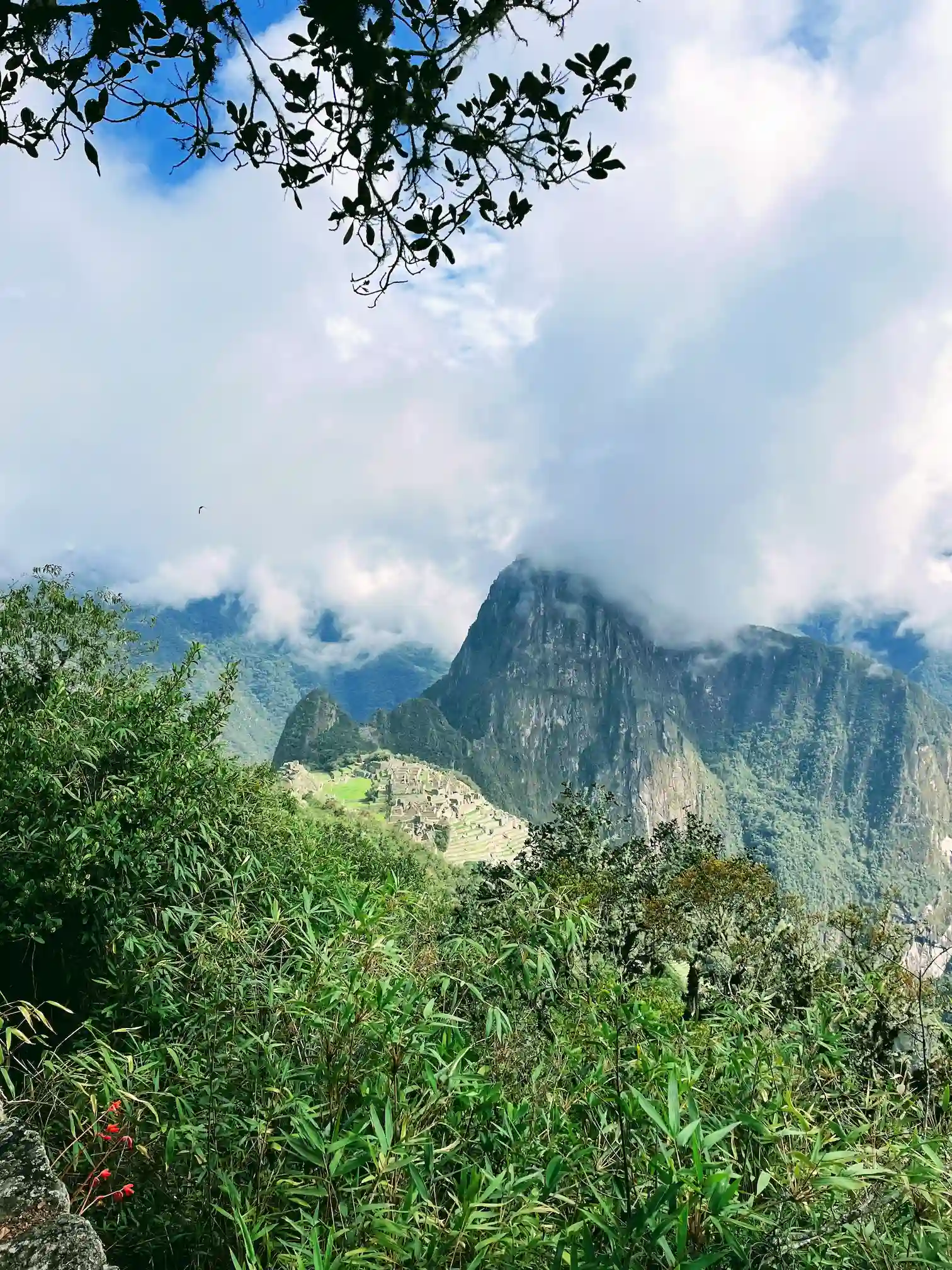Maču Pikču citadelė pro žaliuojančią augmeniją, Huayna Picchu kalne, Peru