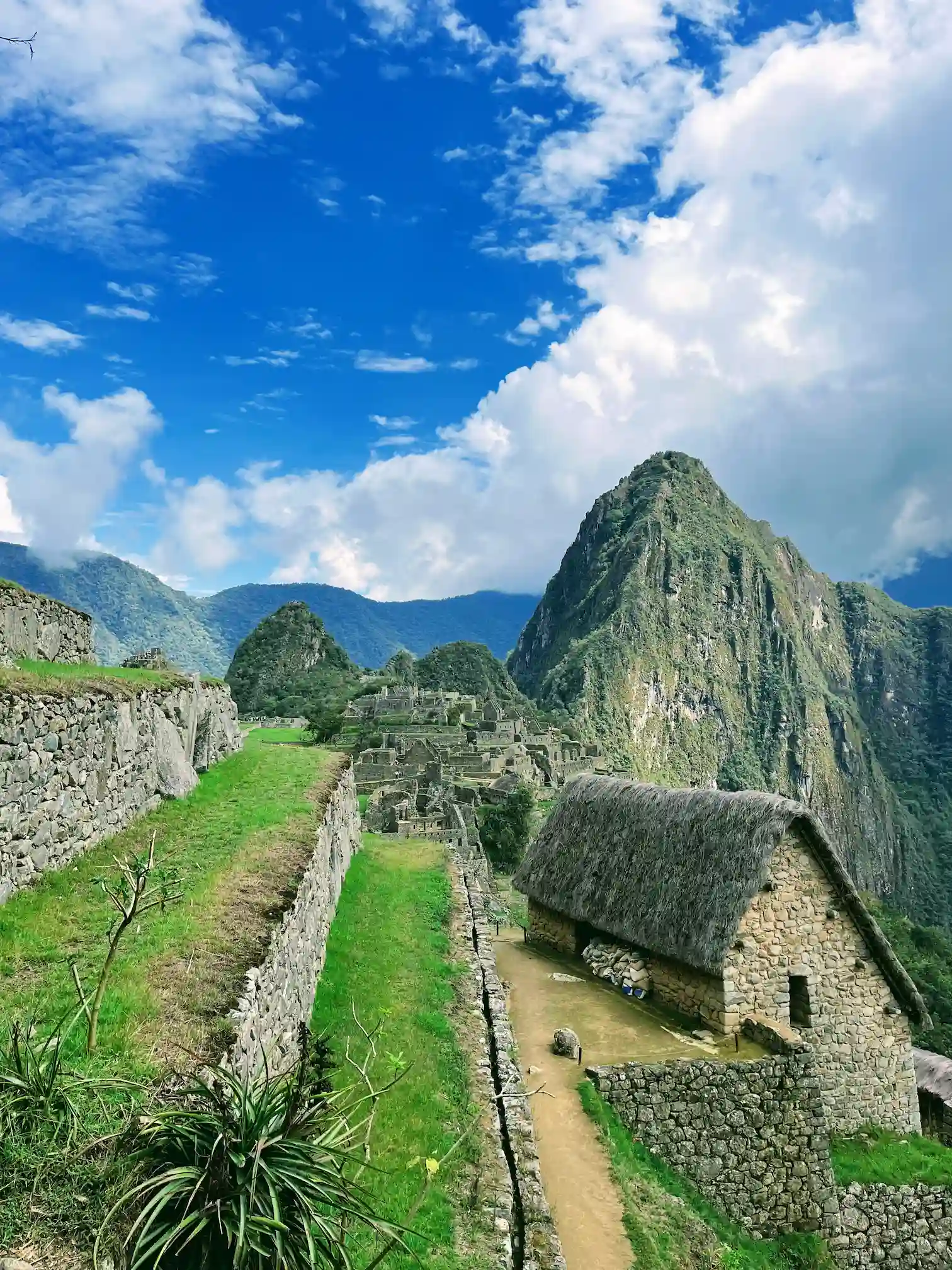 Akmens pastatas su šiaudiniu stogu Maču Pikču citadelėje, Huayna Picchu fone, Peru