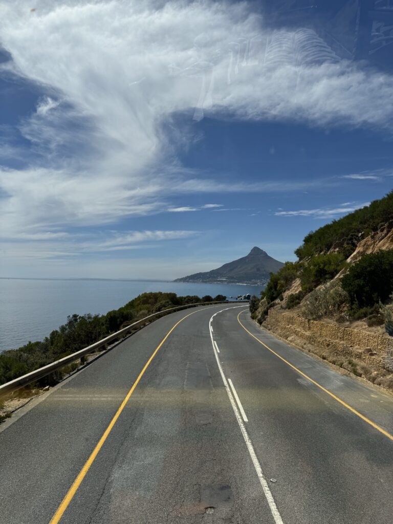 Panoraminis garsaus Sodų kelio (Garden Route) pakrantės vaizdas Pietų Afrikoje