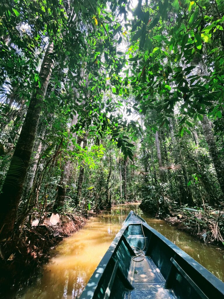 Kelionė į Peru: Maču Pikču, Amazonė ir praktiniai patarimai Kelionė laivu siaura upe pro laukines Amazonės džiungles ir egzotišką augmeniją.