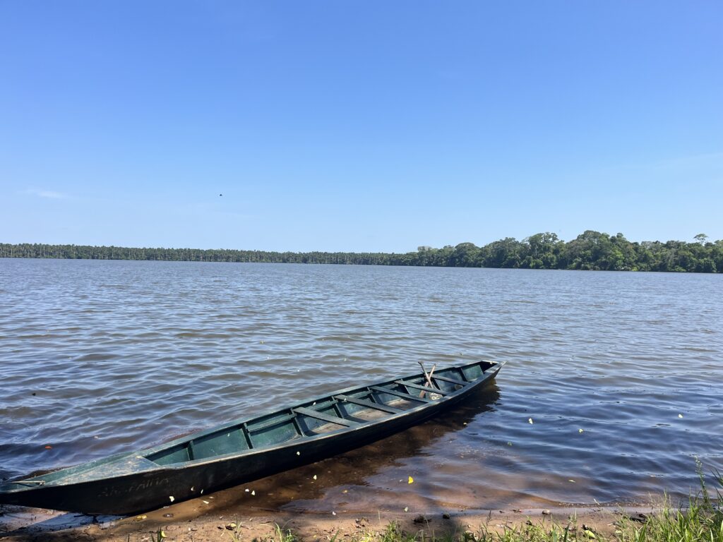 Kelionė į Peru: Maču Pikču, Amazonė ir praktiniai patarimai Medinė valtis, prisišvartavusi prie kranto Amazonės upėje, apsupta tankių džiunglių Peru.