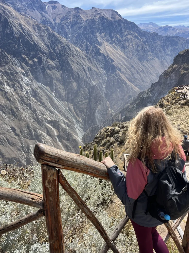 Andų kondoras skrenda virš Kolkos kanjono Cruz del Condor apžvalgos aikštelėje