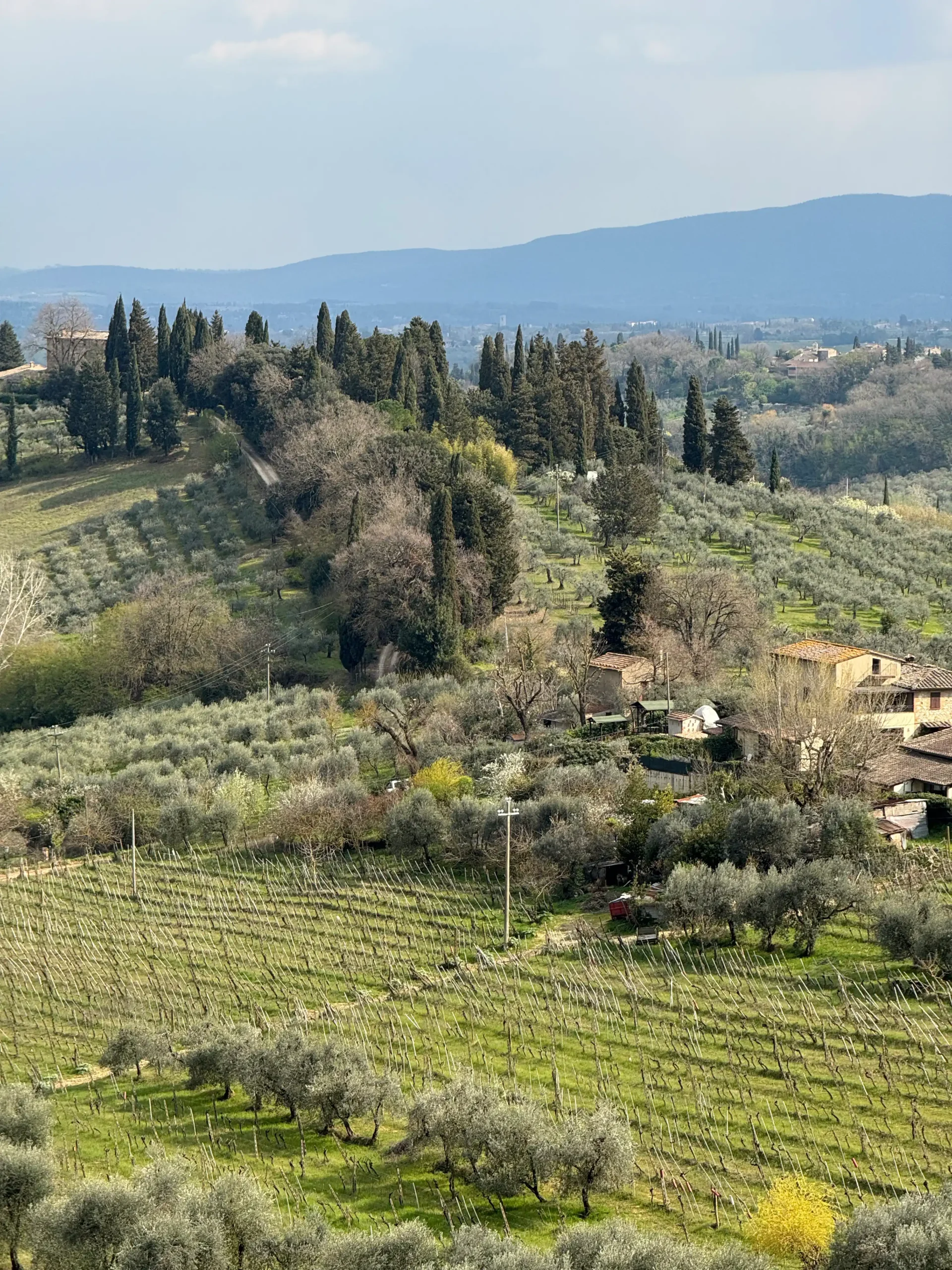 Toskana su kūdikiu: 4 naktys Chianti regione (patirtis 2026) San Gimignano apylinkių panorama — vynuogynai ir kiparisai Toskanos kalvose