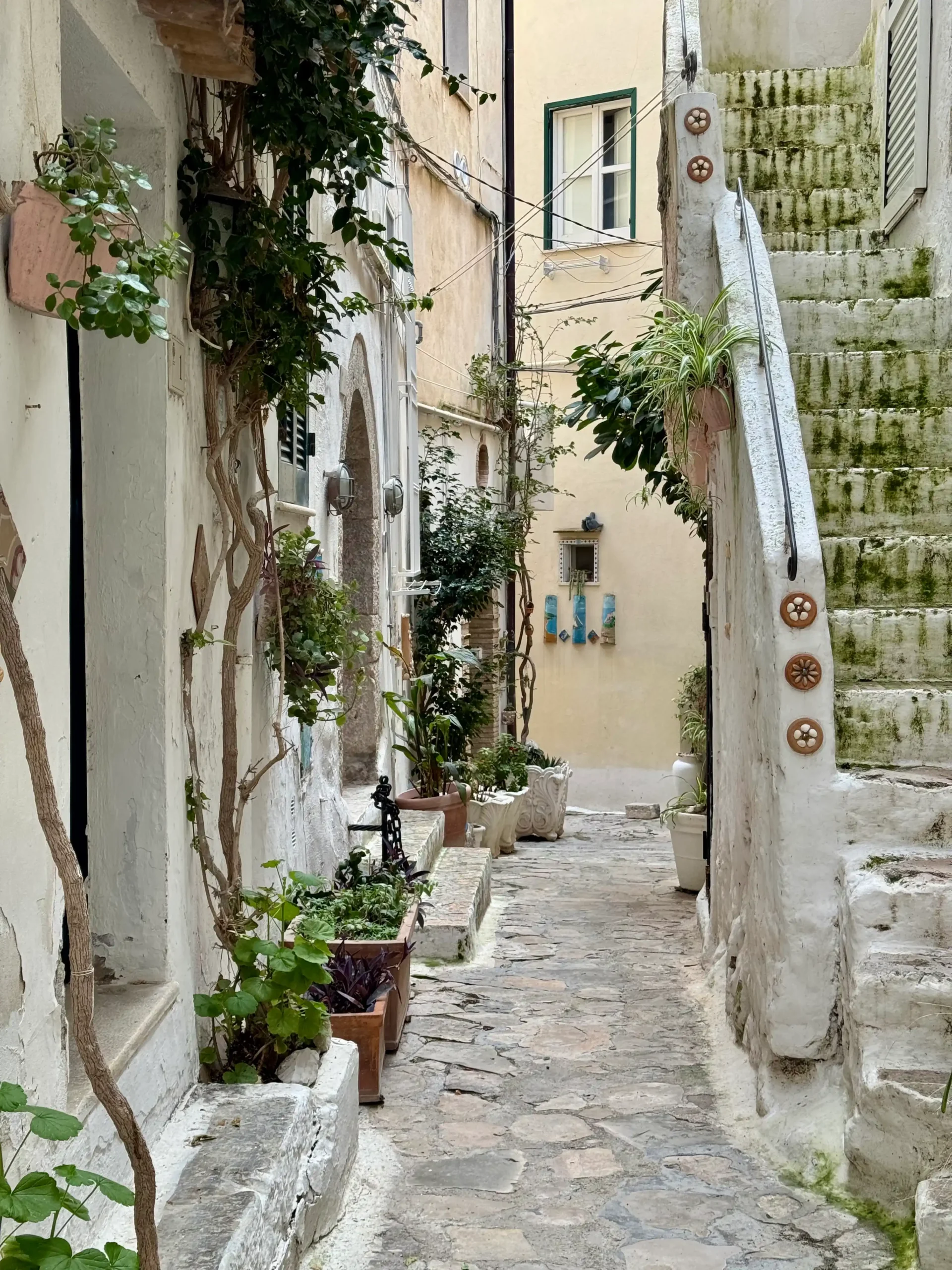 Sperlonga siauros gatvės kampas — baltos sienos, akmeninis grindinys, laipteliai ir gėlių vazonai
