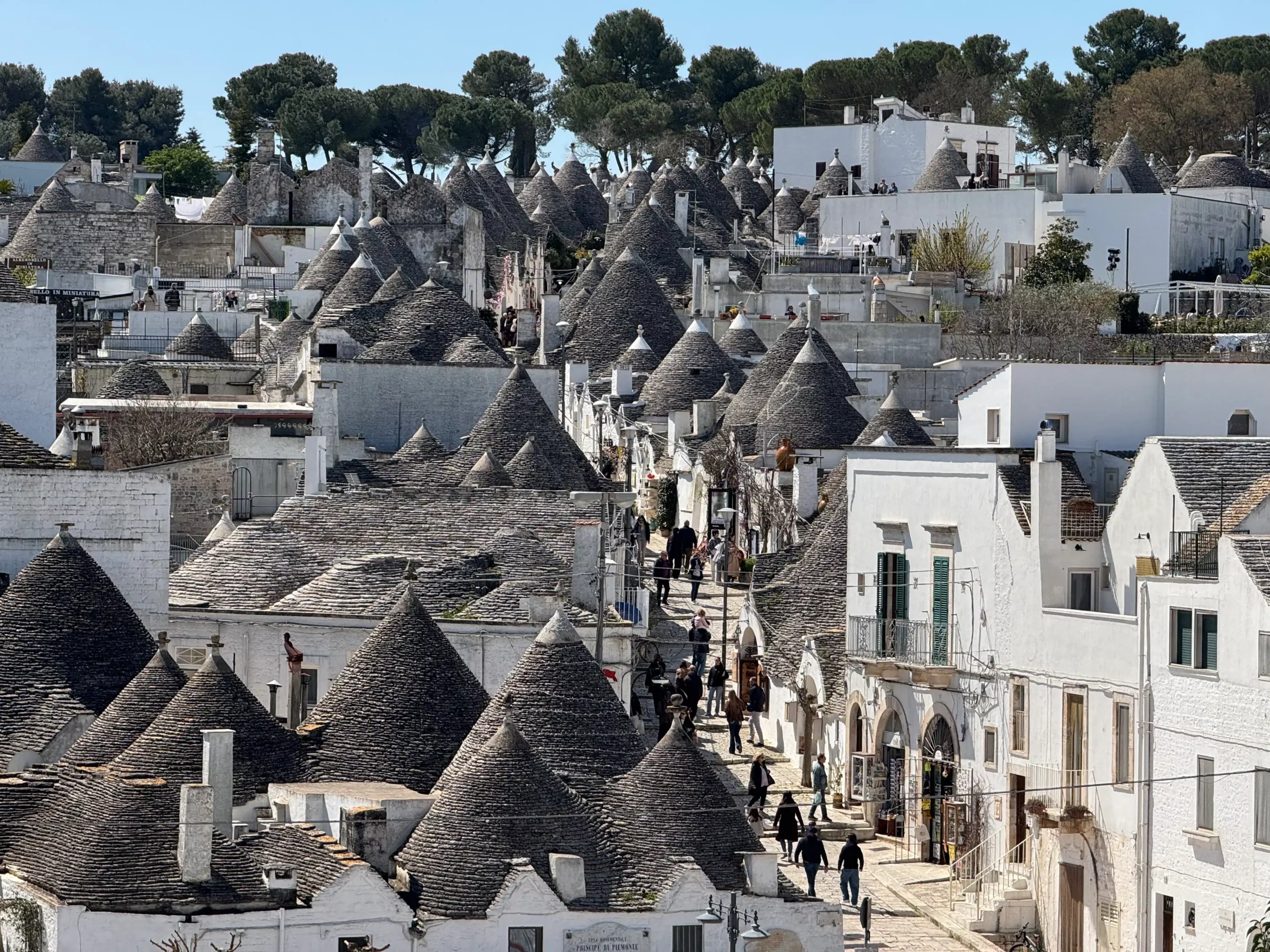 Panoraminis vaizdas į Alberobello senąjį miestą su šimtais tradicinių trulli namelių kūginiais stogais, aplink besibūriuojantys turistai