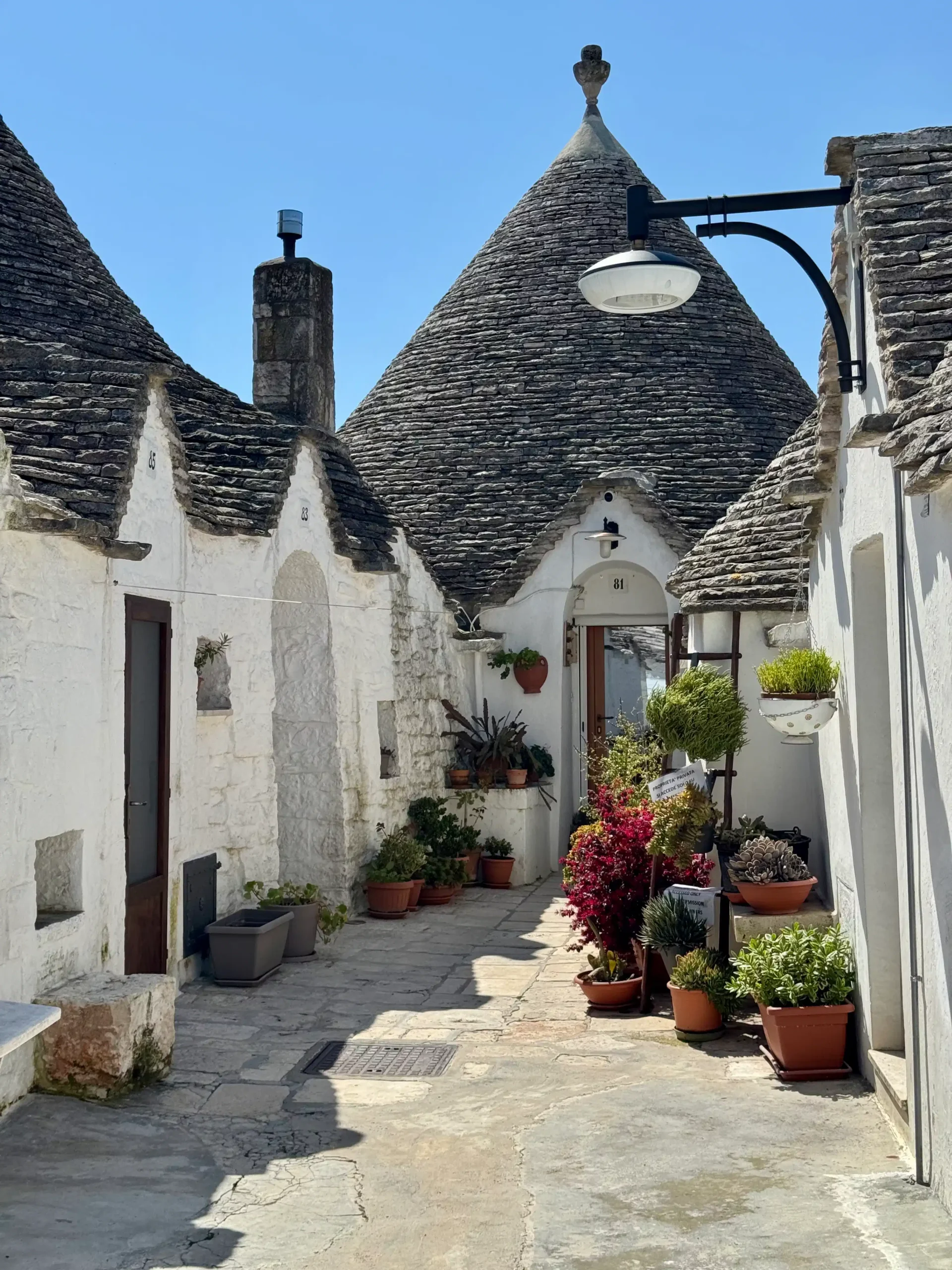 Siaura gatvė tarp baltų trulli namelių Alberobello mieste — prie vieno namelio durų gausu vazonų su žydinčiais augalais