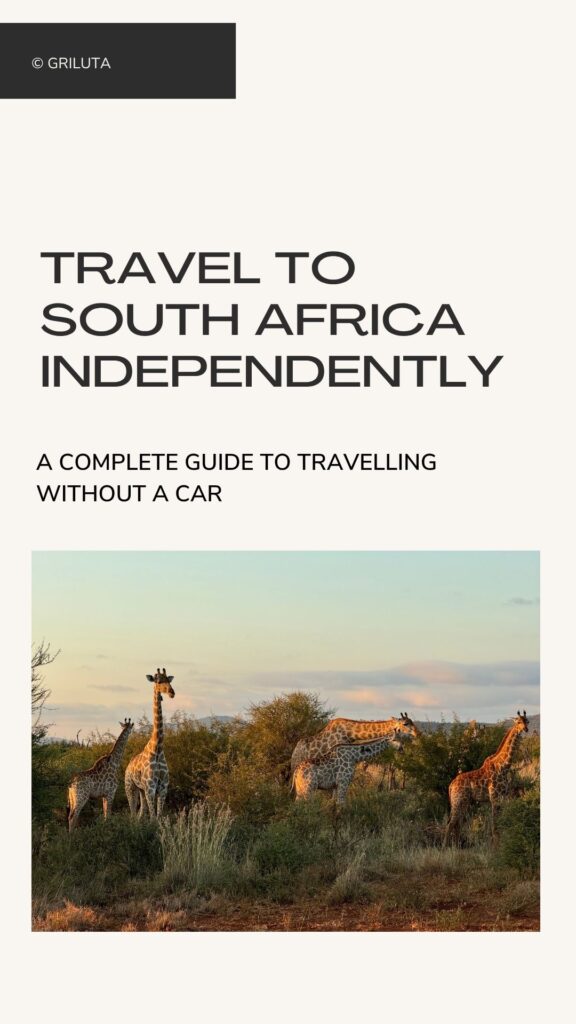 travel without chaos: south africa – pdf guide