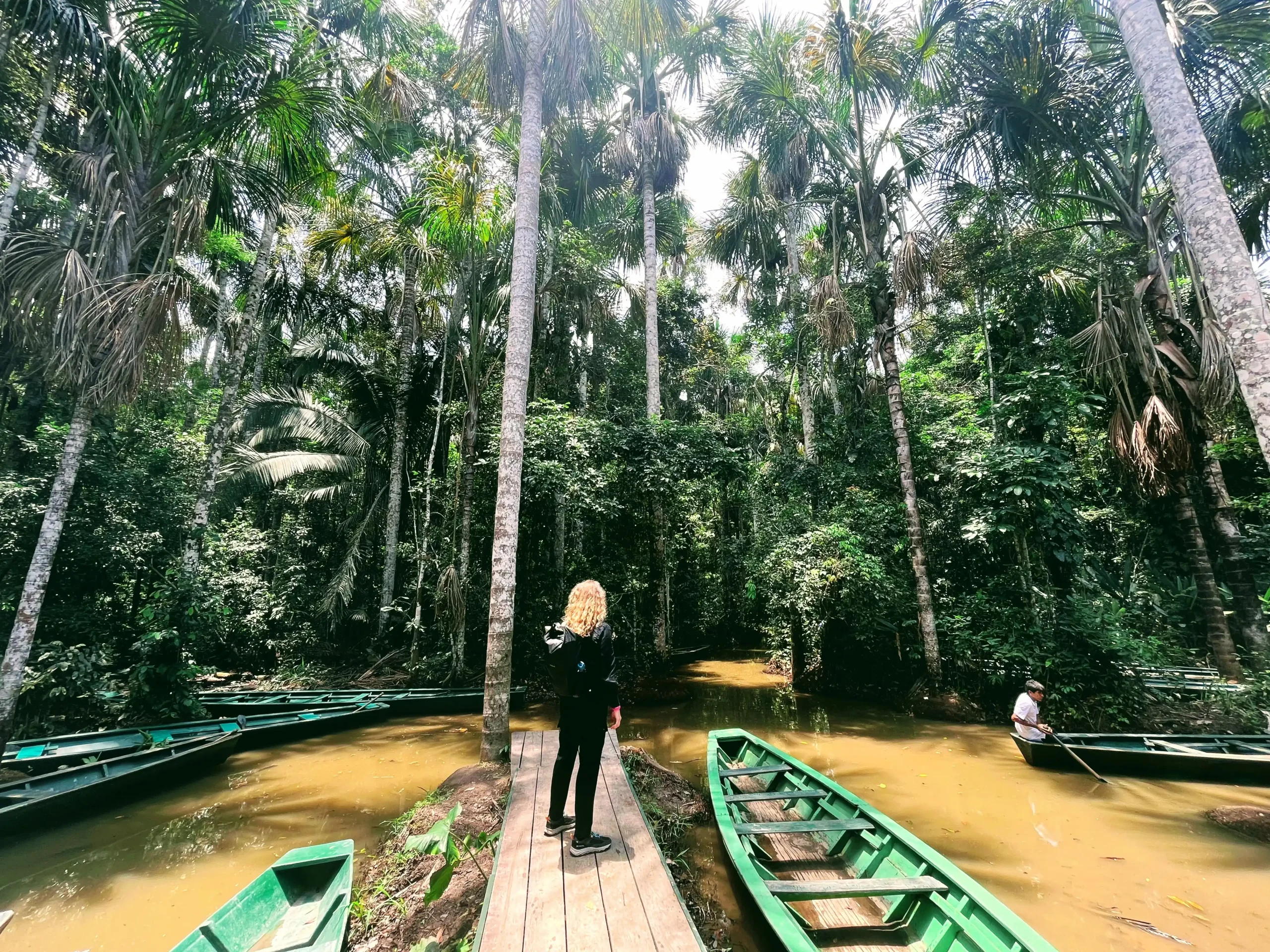 Amazonės džiunglės Peru: kelionė į Puerto Maldonado