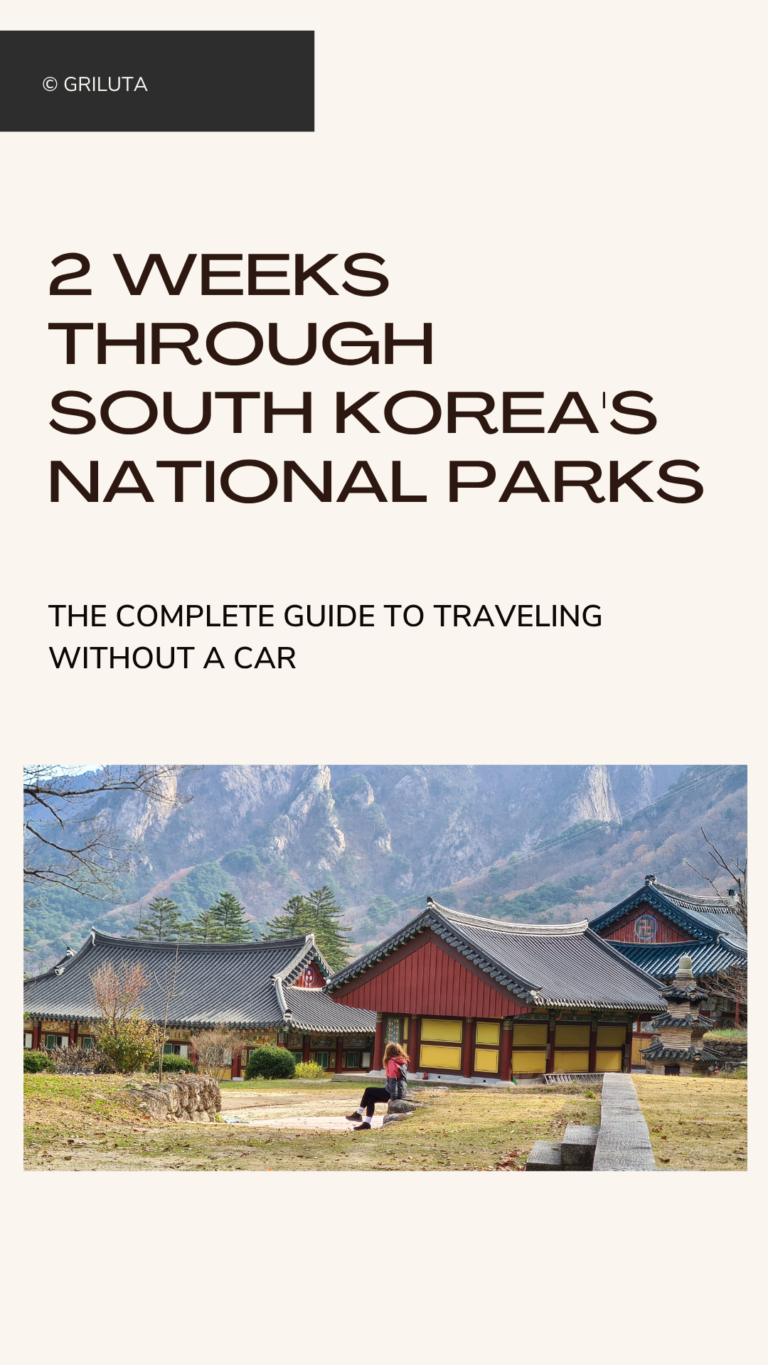 South Korea Guide