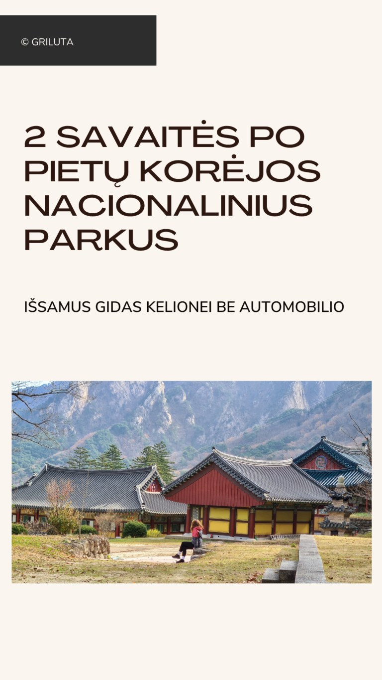 Pietų Korėja Gidas
