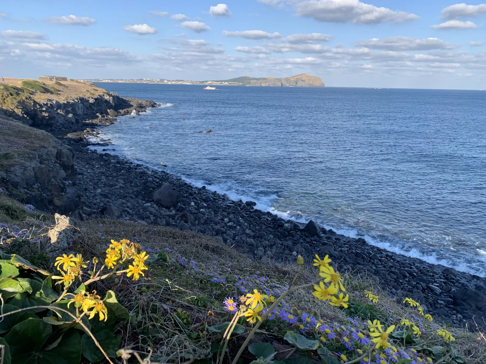 Jeju's Women Divers: Where to See Them Jeju pakrantės takas su geltonomis gėlėmis, juodu bazaltu ir jūra